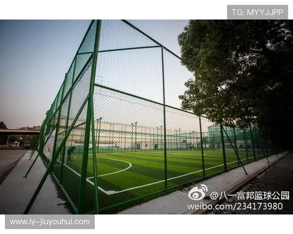 泉州足球场包场价格详情及不同场地费用对比分析